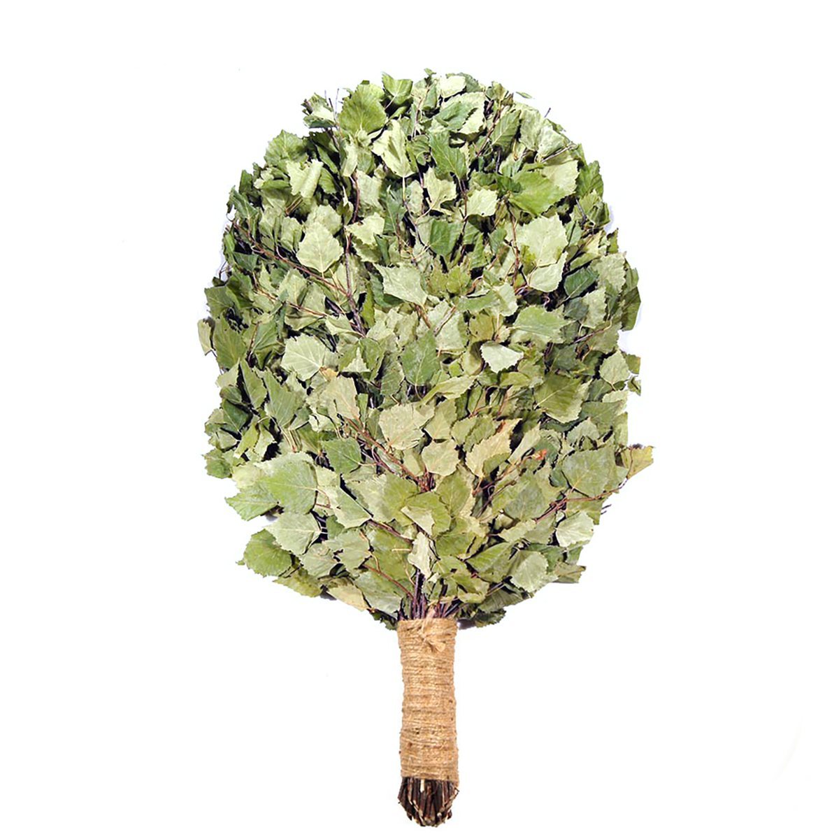 Sauna Whisk — Birch